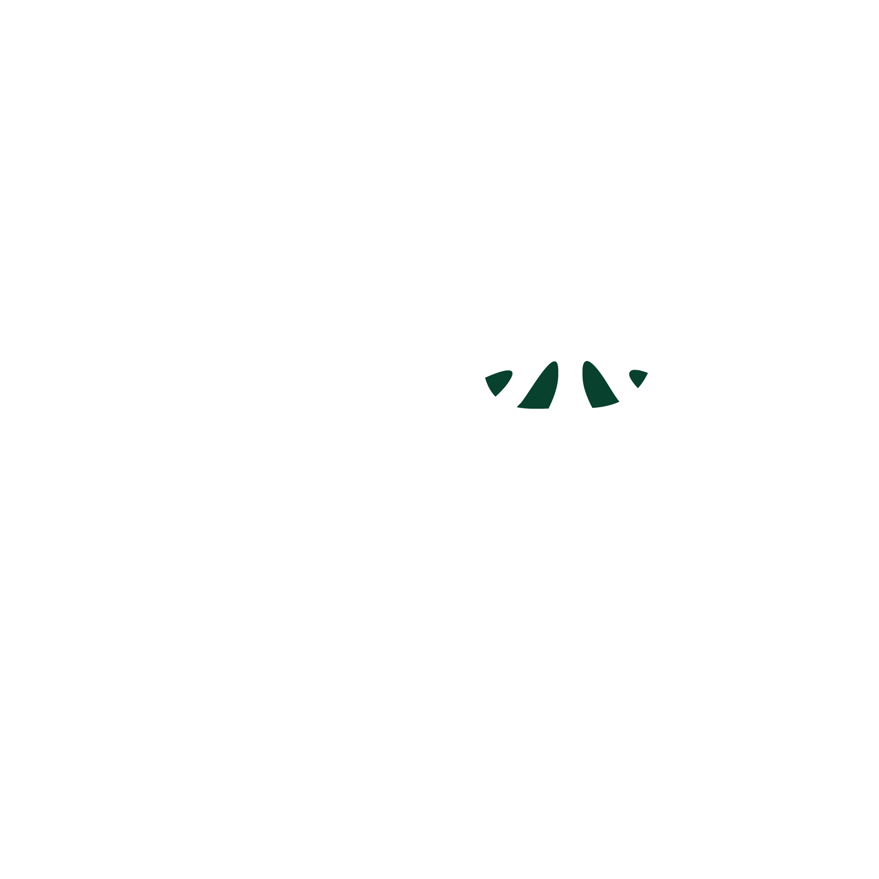 Rooted, CCS Junior High